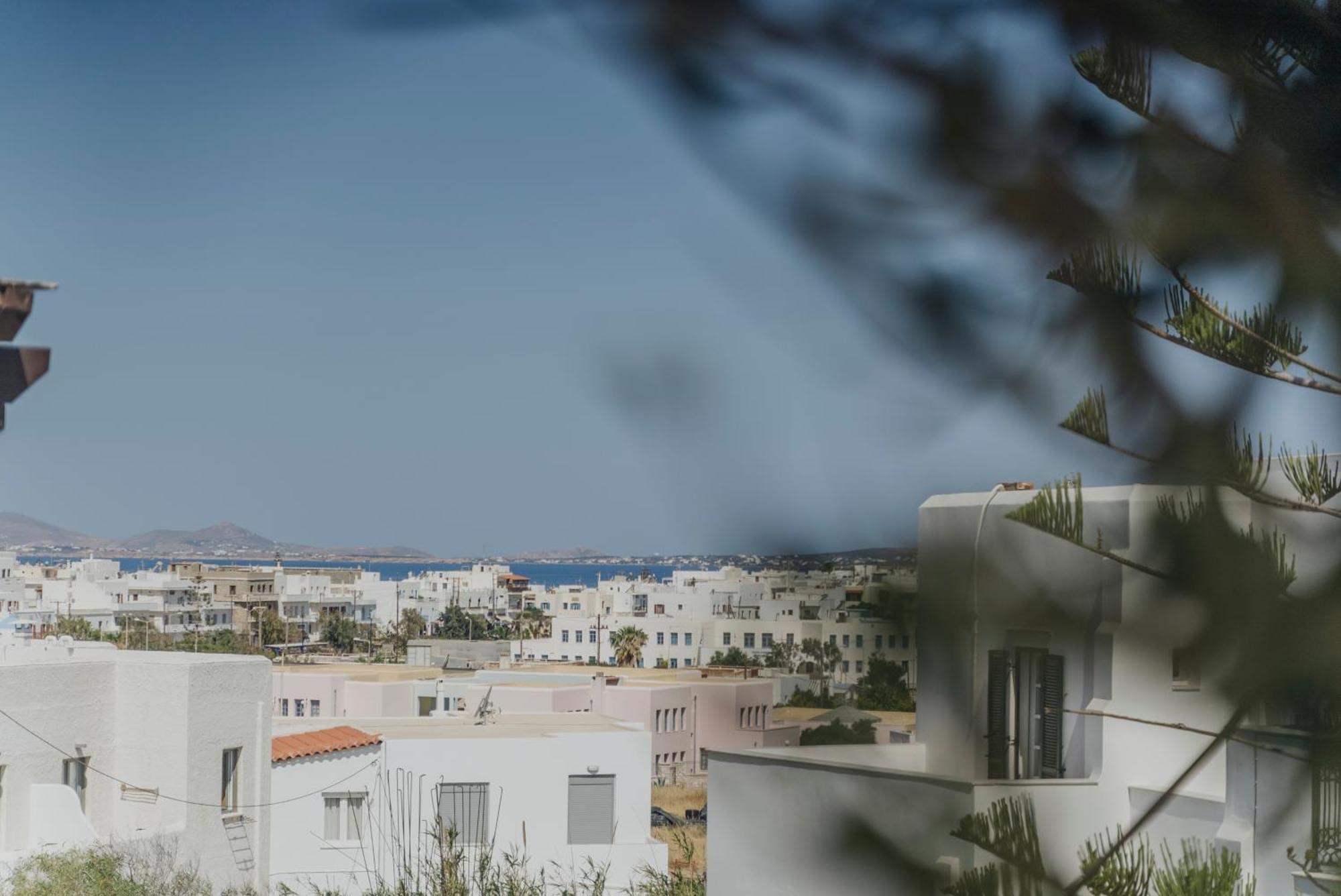 Golden Bird'S Aparthotel Naxos City Luaran gambar